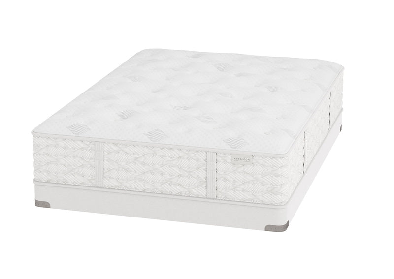 Aireloom Preferred Streamline Plush