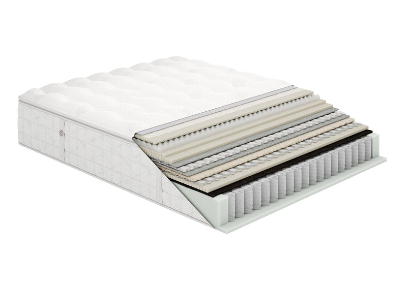 Aireloom Preferred Luxetop M2+ Plus Plush
