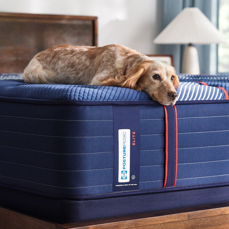 Posturepedic Elite - Albany II Tight Top Firm Mattress