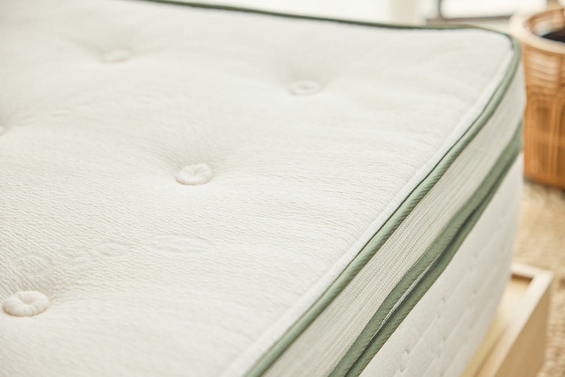 Avocado Green Mattress - Plush Pillow Top