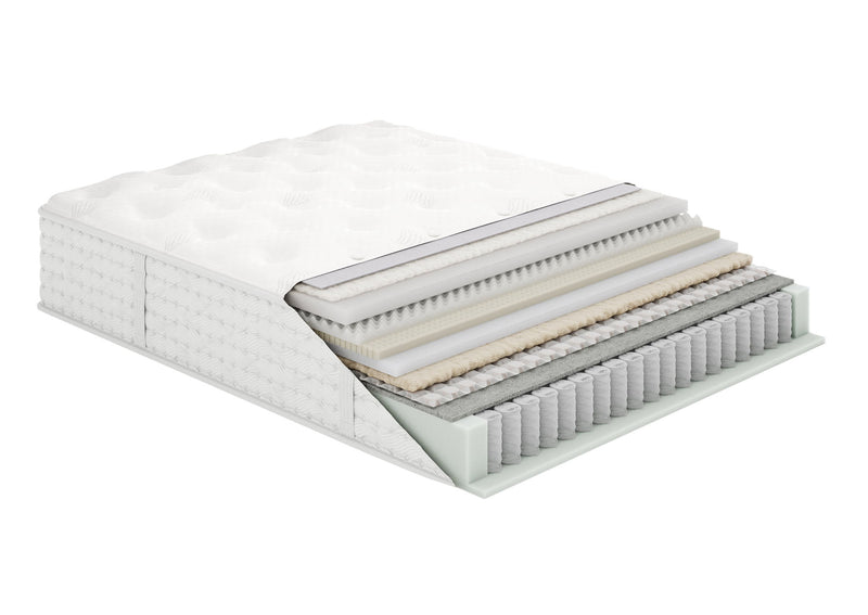 Aireloom Preferred Streamline M1 Plush