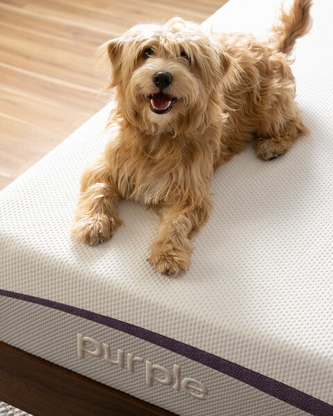 The Purple Mattress