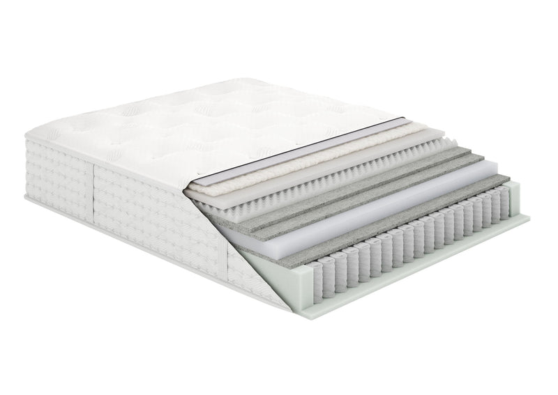 Aireloom Preferred Streamline Plush