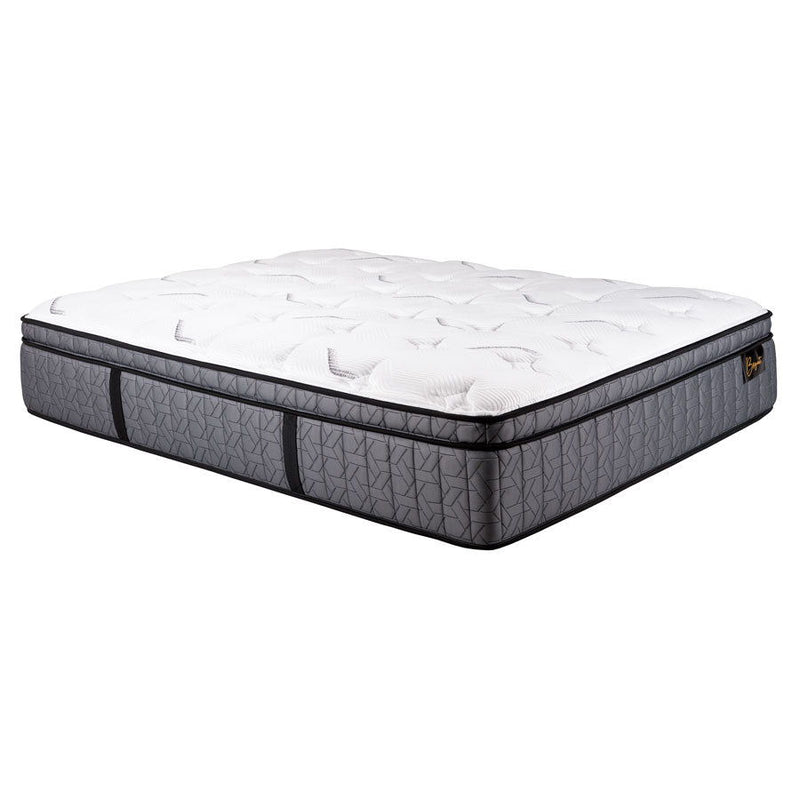 Briganti Victoria Medium Eurotop