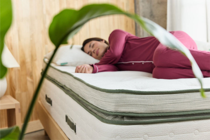 Avocado Green Mattress - Ultra Plush Box Top
