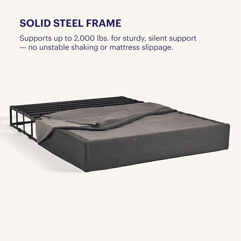 Purple Flat Foundation Low Profile  5"