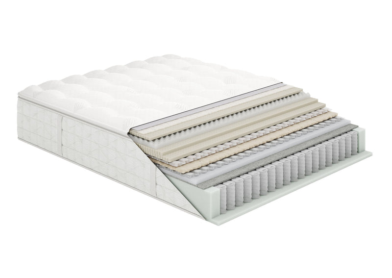Aireloom Preferred Luxetop M2 Plush
